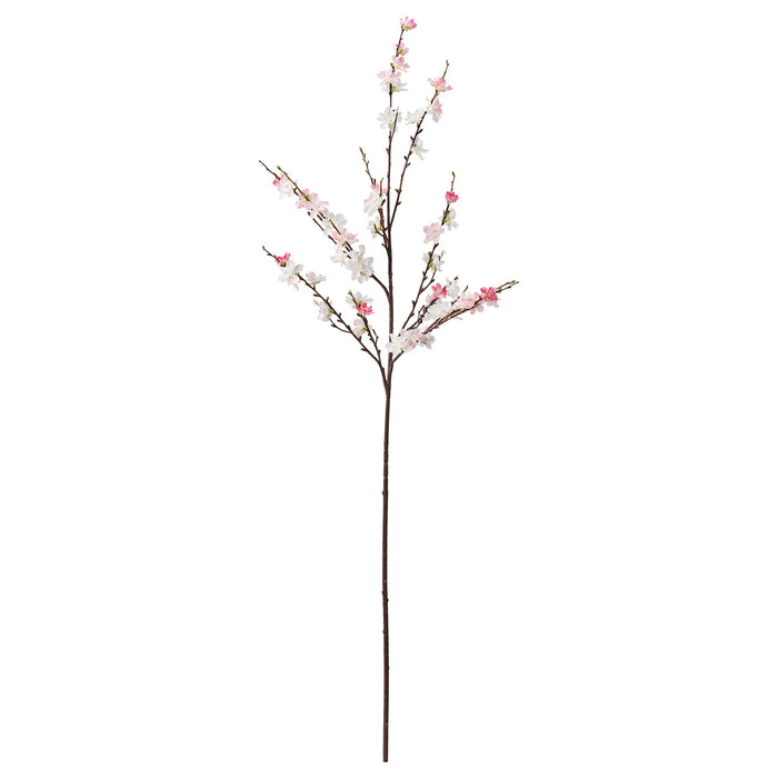Pink Cherry Blossom Stem