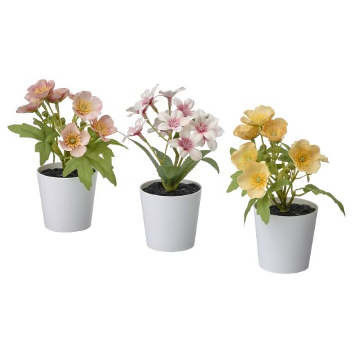Flower Mix Potted Plant