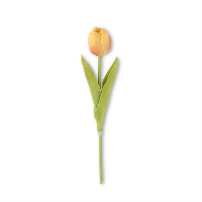 Orange Mini Tulip Stem