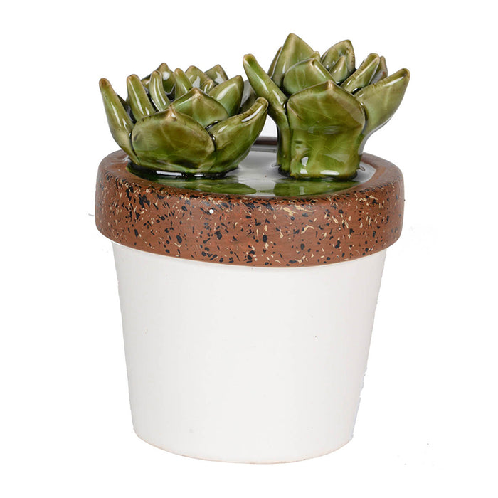 Ceramic Plant Decorate
