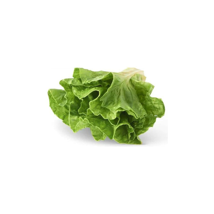 Real Touch Lettuce Head