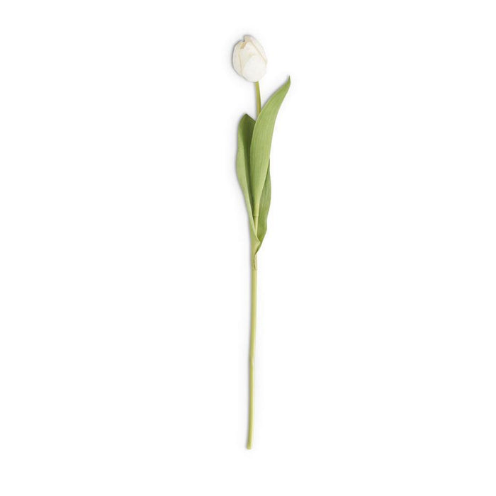 White Silk Single Tulip Stem