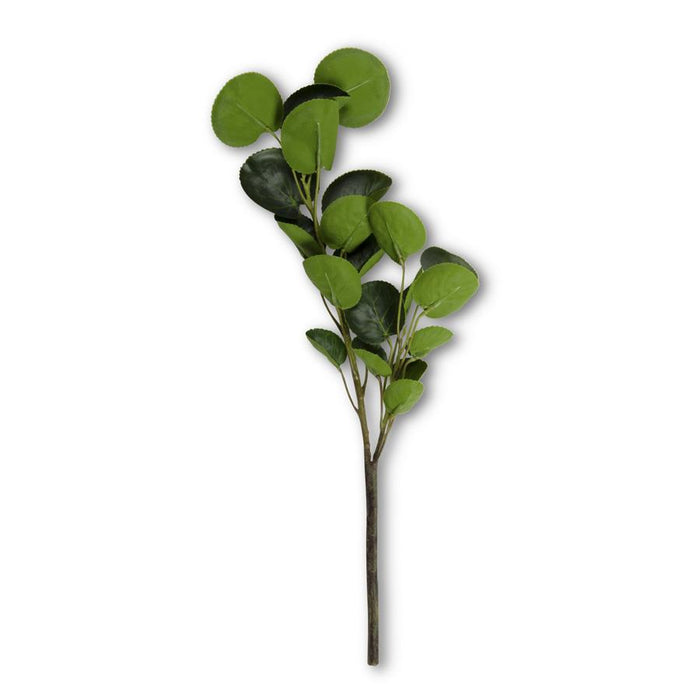 2 Branch Eucalyptus Stem
