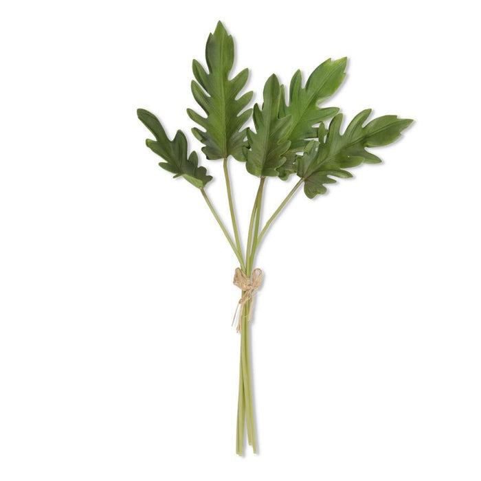 19" Split Leaf Philodendron Bundle