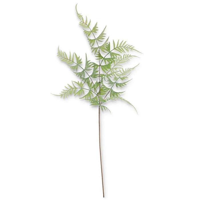 31" Real touch Parsley Fern Spray