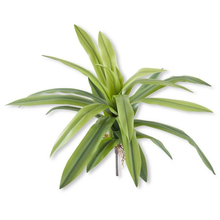Agave Foliage Spray
