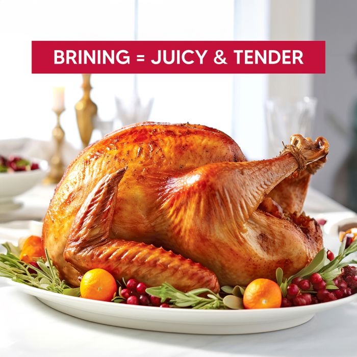 Turkey Brining Bag