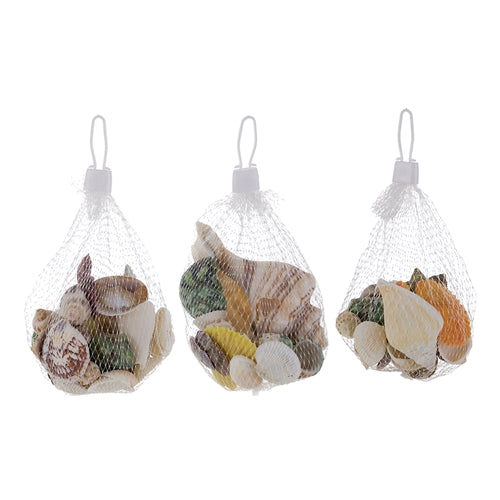 1/4 Pound Assorted Sea Shells