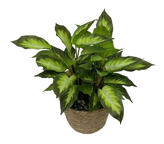 Rohden Plant Basket