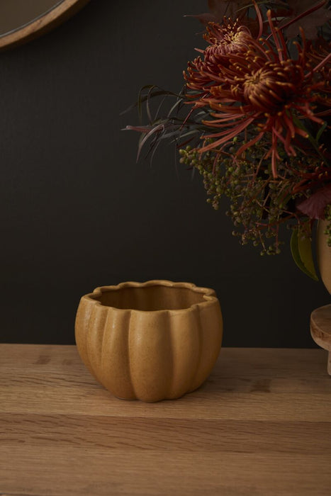 Spiced Pumpkin Pot - Small