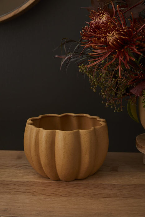 Spiced Pumpkin Pot - Large