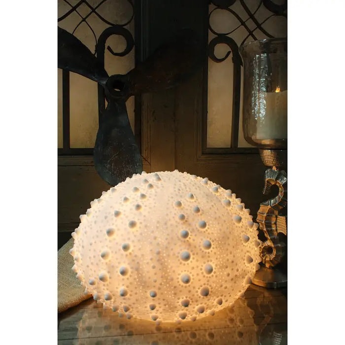 Sea Urchin Lamp