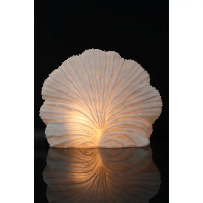 Striped Fan Coral Shell Lamp