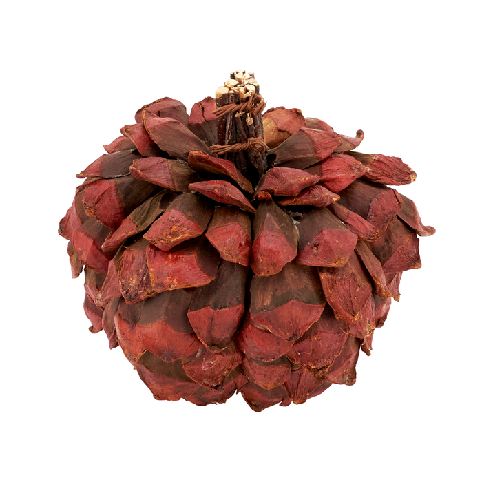 Pinecone Pumpkin