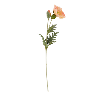 Poppy Stem