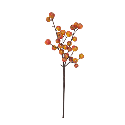 Eucalyptus Berries Branch