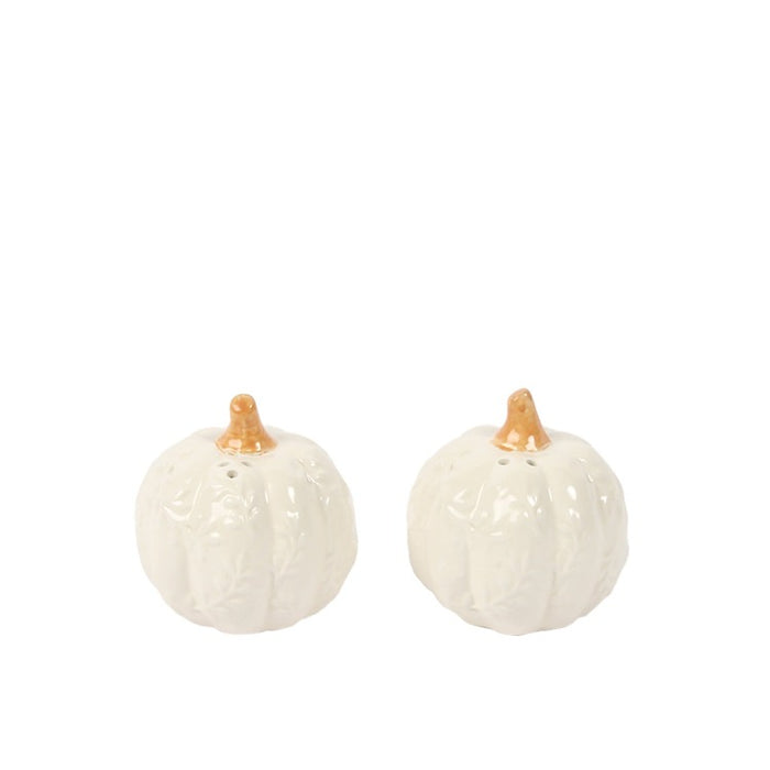 Harvest Pumpkin Salt & Pepper Set