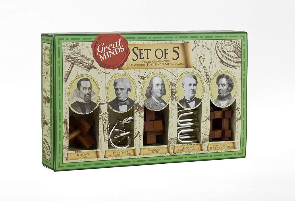 Set Of 5 Metal & Wood Puzzles - Great Minds
