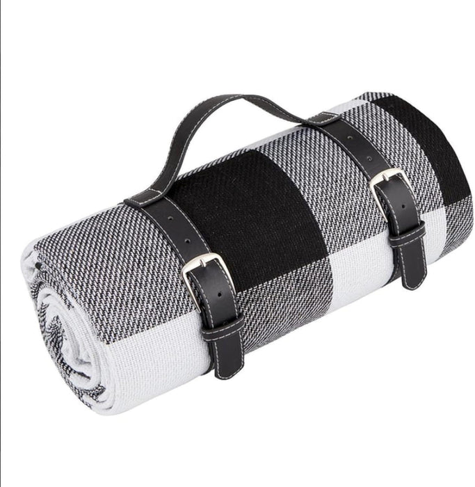 Picnic Buffalo Check Blanket