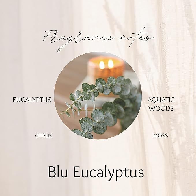 Blu Eucalyptus Candle In White Tin