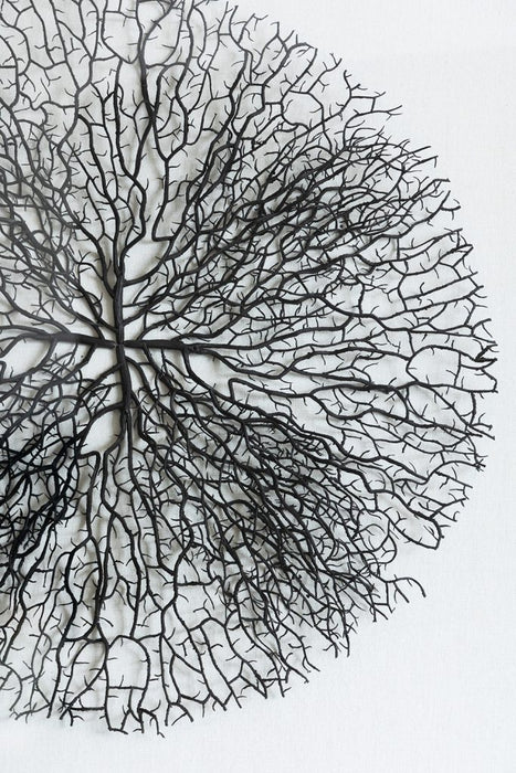 Shadow Box Wall Decor