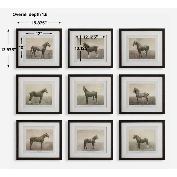 Equine Dynasty Framed Prints Set of 9