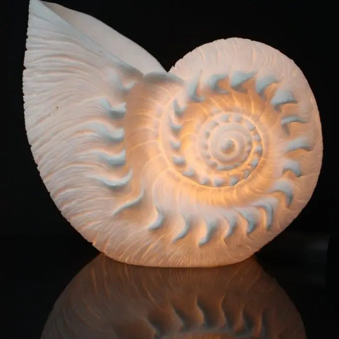 Nautilus Shell Lamp