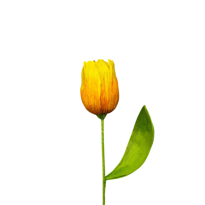 27.5" Big Tulip - Yellow