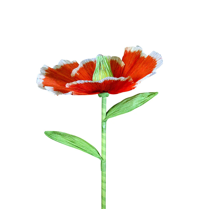 27.5" Giant Poppy