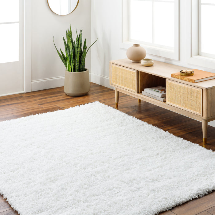 Bogota Shag 8x10 Rug