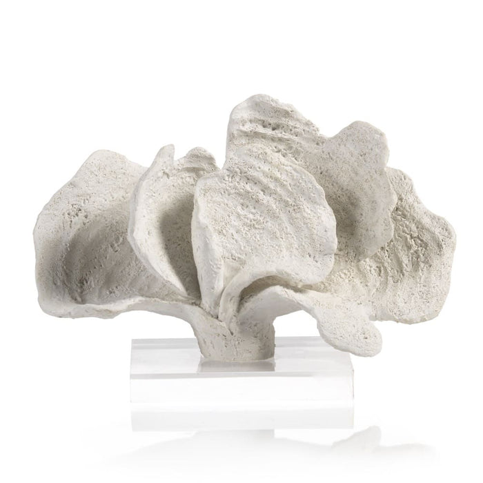 White Coron Coral On Acrylic Base