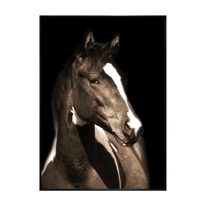Fayette 1 Horse Print