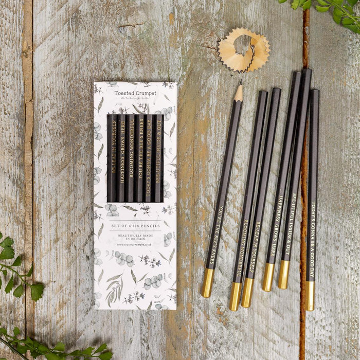 Eucalyptus Set Of 6 Pencils - Pure