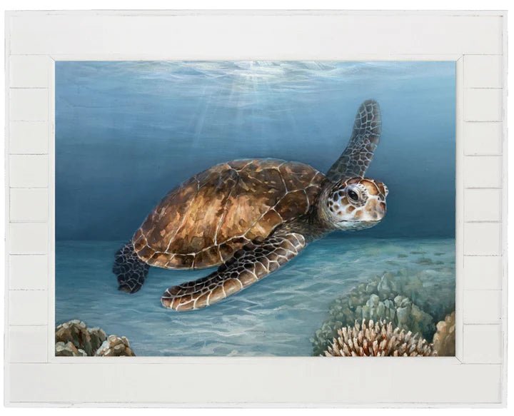 Shiplap Turtle Framed Art