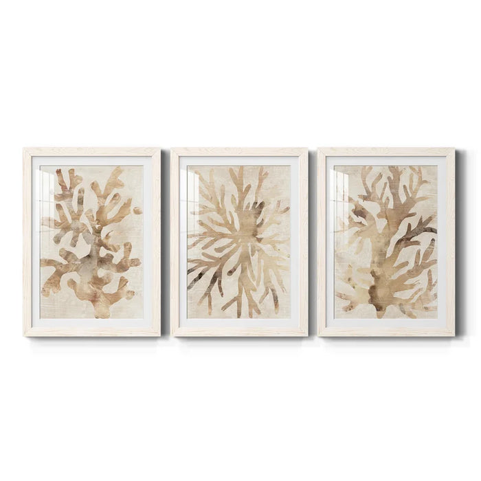 Tan Coral Print- Assorted