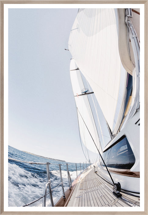 Port Side - Large