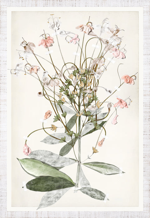 Ruche Flora