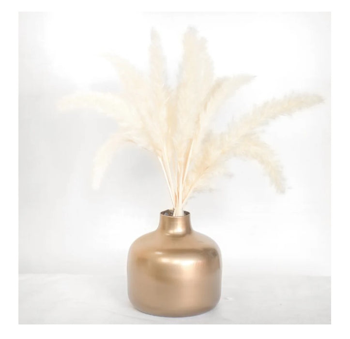 Antique Iron Vase