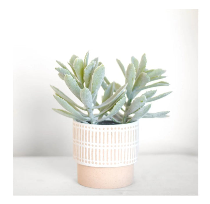 Potted Leaf Succulent