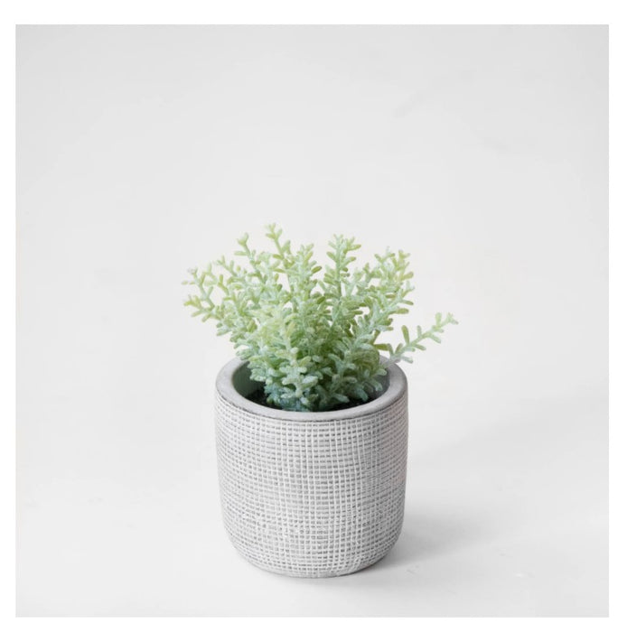 Flocked Coral In Pot