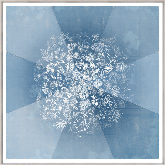 Sea Tangle - Large