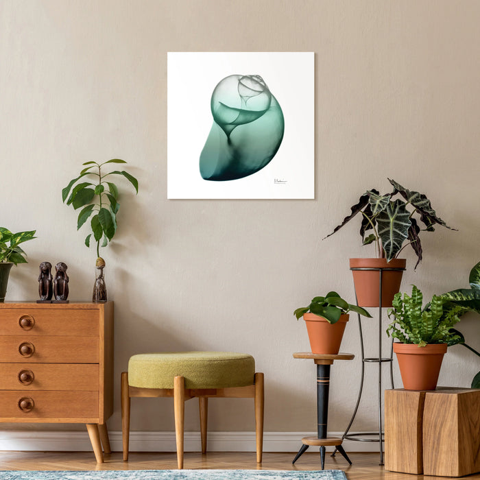 Shimmering Snail Art