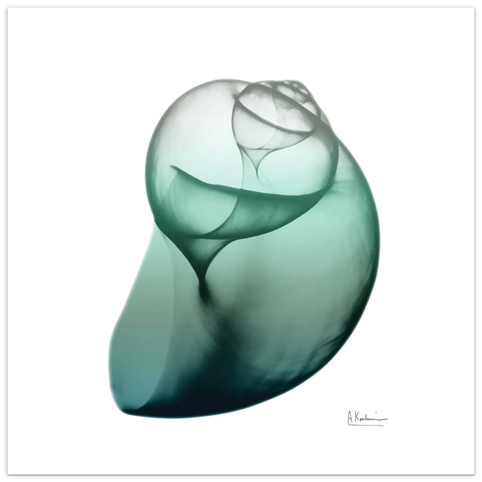 Shimmering Snail Art