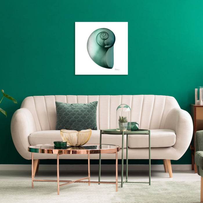 Shimmering Snail Art