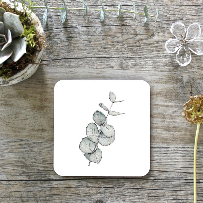 Eucalyptus Set Of 4 Coasters - Pure
