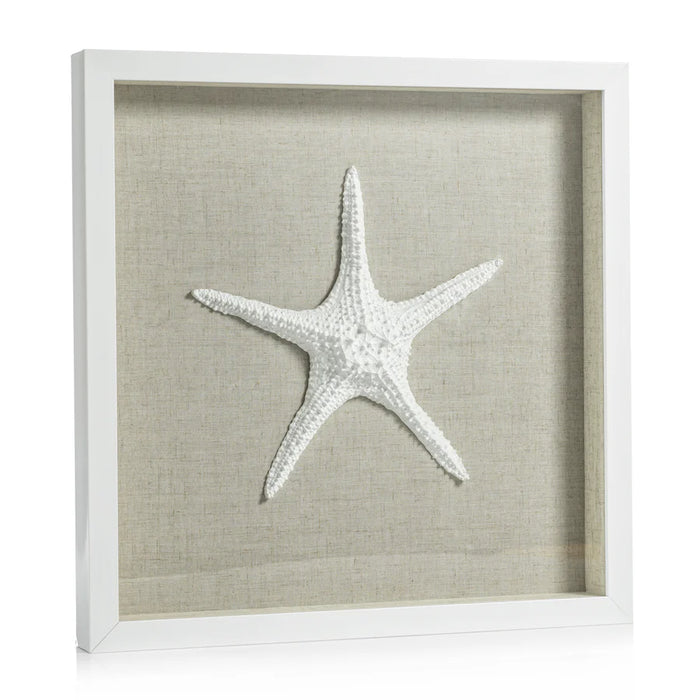 White Framed Starfish