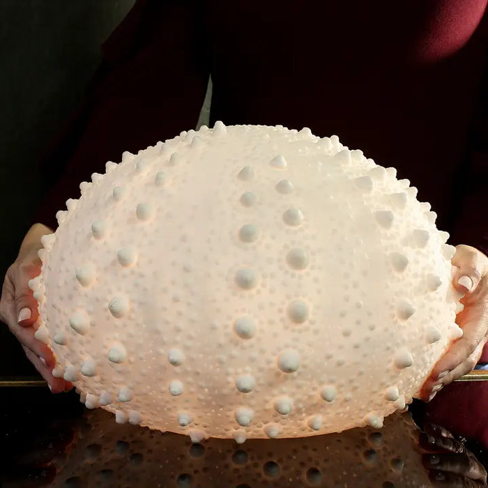 Sea Urchin Lamp