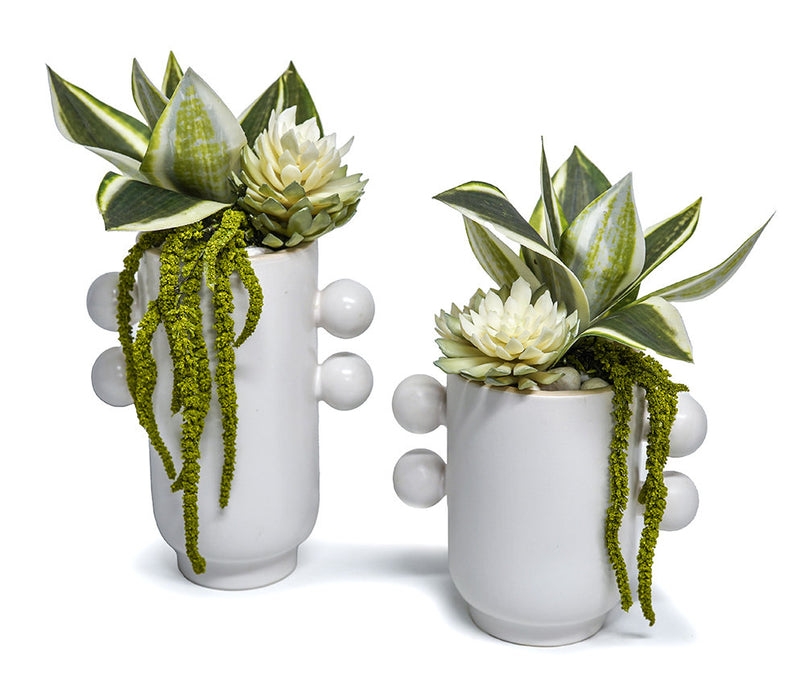 Succulents In Farley Vase