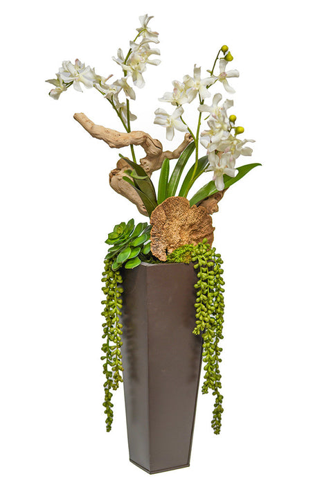 Vanda Orchid In Tall Zinc Pot