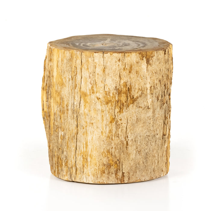 Riker End Table - Light Petrified Wood